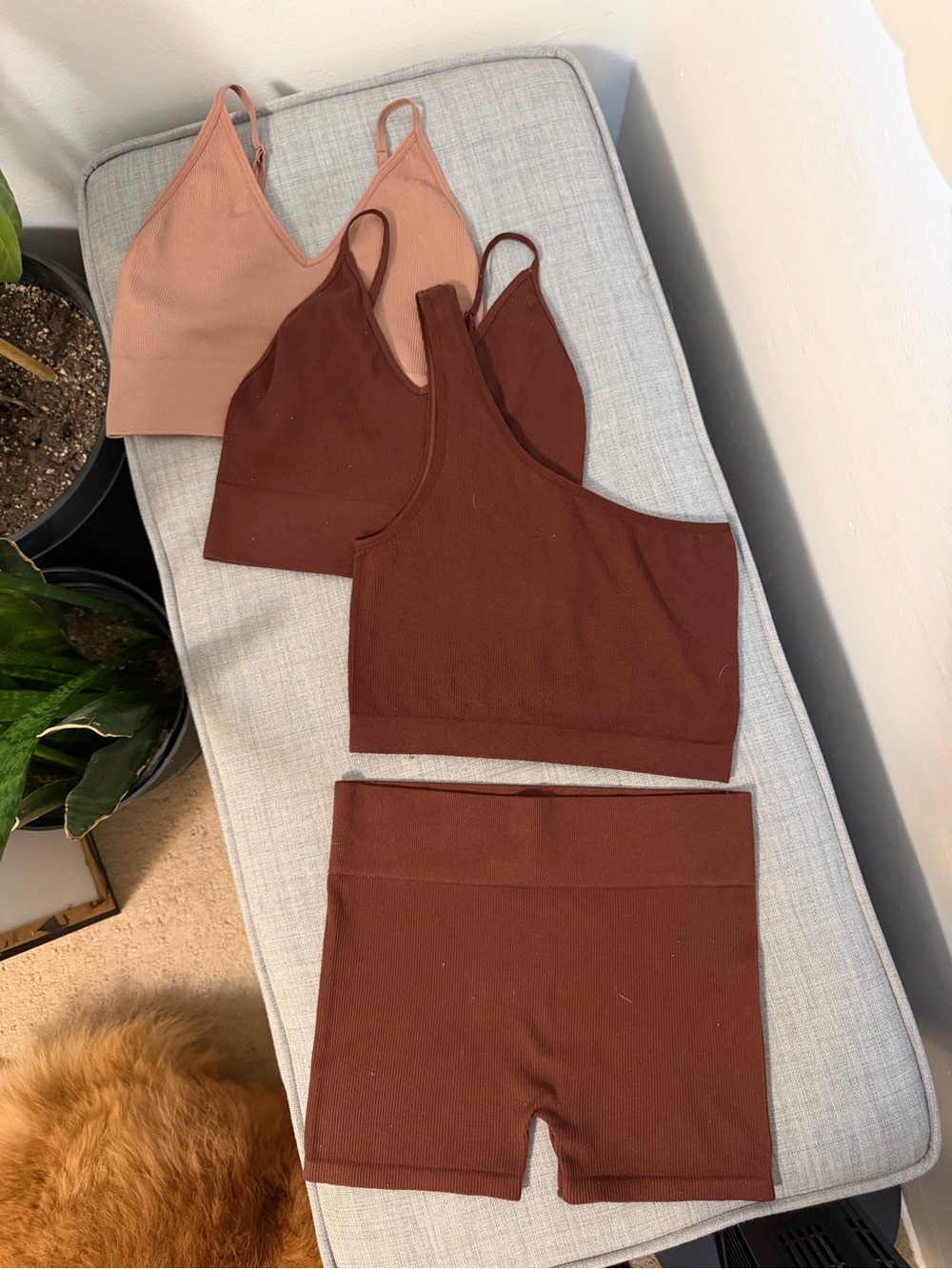 Bundle! Bozzolo Brown & Tan Cropped Tanks/Bras + Shorts Set